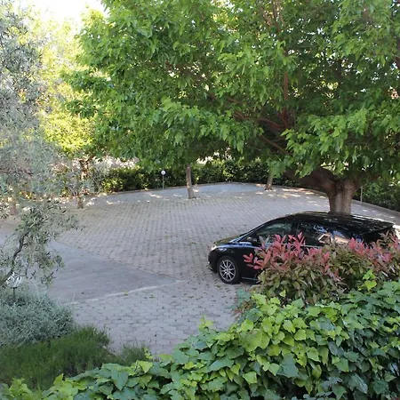 Mihaela * Трогір